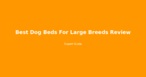 best dog beds for large breeds review