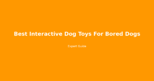 best interactive dog toys for bored dogs
