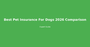 best pet insurance for dogs 2026 comparison