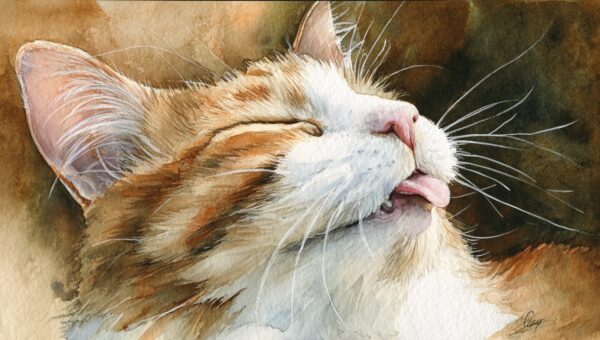 Más allá del cepillado: La guía completa de cuidado dental para gatos que realmente funciona (Consejos de prevención y desglose de costos)