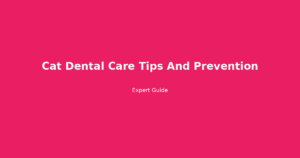 cat dental care tips and prevention