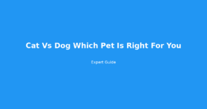 cat vs dog which pet is right for you