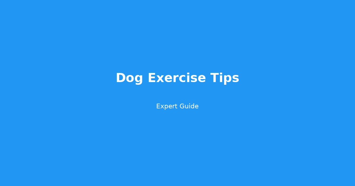 Complete Guide to Dog Exercise Tips