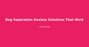 dog separation anxiety solutions that work