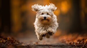 Meilleures assurances pour animaux de compagnie pour chiens en 2026 : comparaison à l’épreuve du futur et top 5 des choix