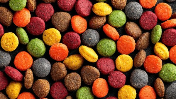 Alimentation pour chiens et allergies : le guide scientifique pour trouver un soulagement sans vider votre portefeuille