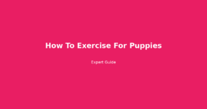 how to exercise for puppies
