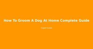 how to groom a dog at home complete guide