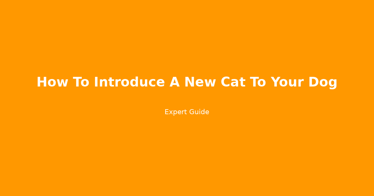 Complete Guide to How To Introduce A New Cat To Your Dog