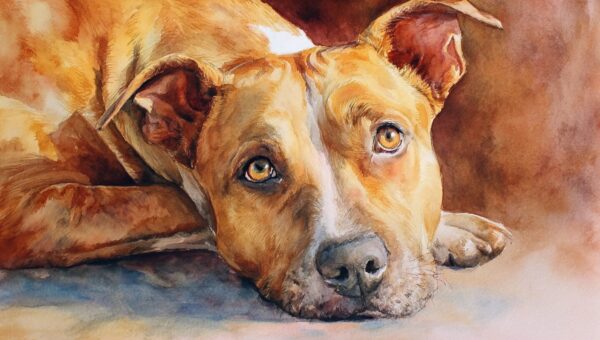 Stop Your Dog Barking at Strangers: 7 Proven Methods That Actually Work