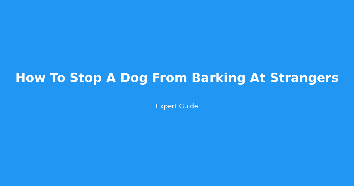 how to stop a dog from barking at strangers