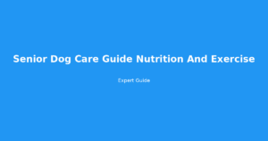 senior dog care guide nutrition and exercise
