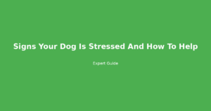 signs your dog is stressed and how to help