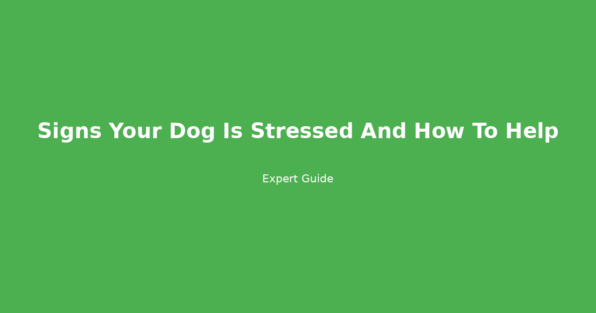 12 Silent Signs Your Dog Is Stressed (And How to Help Them Feel Safe)